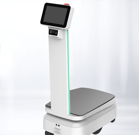 Takeout Delivery Robot