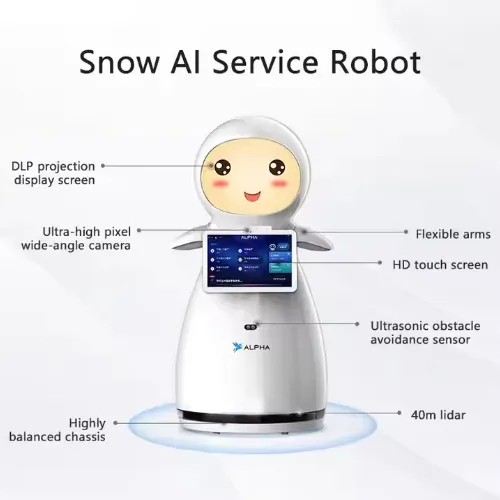 Commercial Intelligent Reception Robot-Timo Service Robot