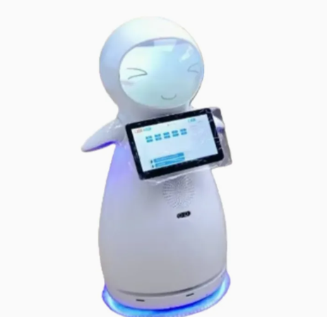 Commercial Intelligent Reception Robot-Timo Service Robot