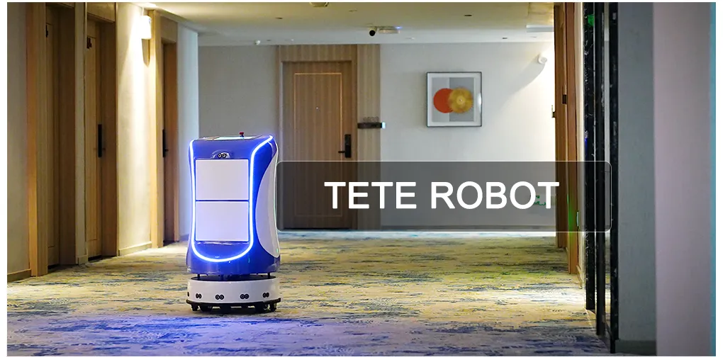 High Quality Good Performance Data Encryption 4 - Star Hotel Delivery Robot