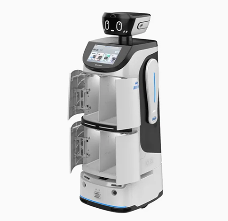 Takeout Delivery Robot