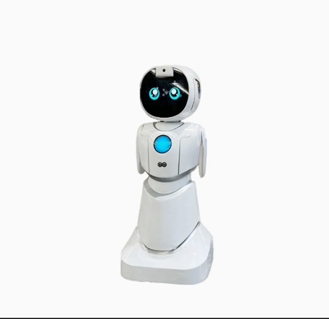 Cute Intelligent Humanoid Receptionist-Qbi Service Robot