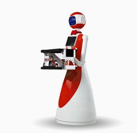Takeout Delivery Robot