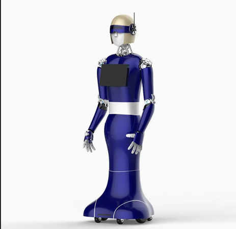 Commercial Intelligent Reception Terminal-Landou Service Robot