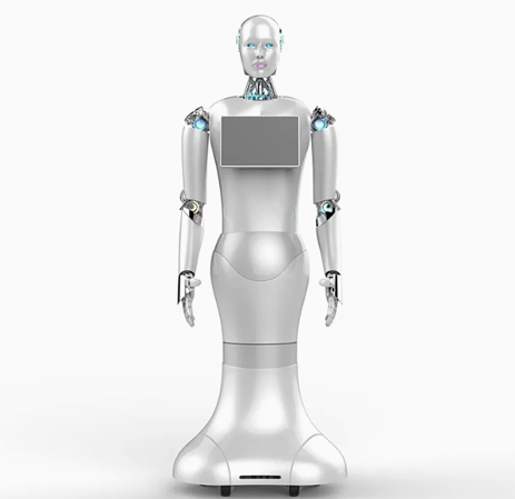 Takeout Delivery Robot