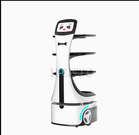 Takeout Delivery Robot