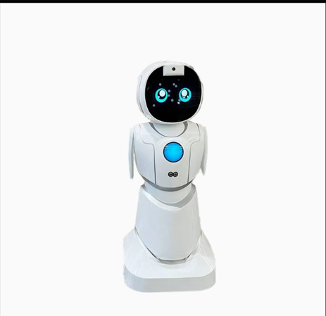 Qbi Intelligent Service Robot Operates Stably in Complex Environments