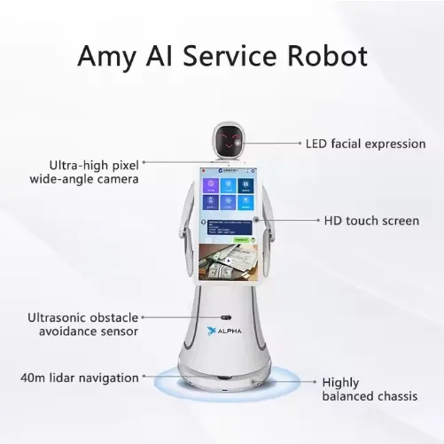 Large Screen Database Chatgtp Dialogue-Amy Service Robot