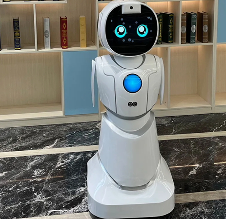 Hotel Amenity Query Room Service Ordering Room Navigation Robot