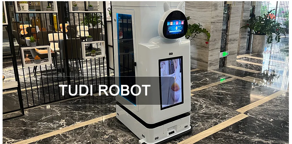 Hotel Room Service Elevator Integration Delivery Bot Tudi Robot