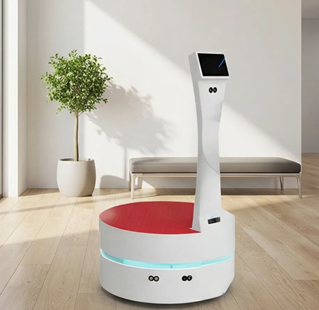 Takeout Delivery Robot
